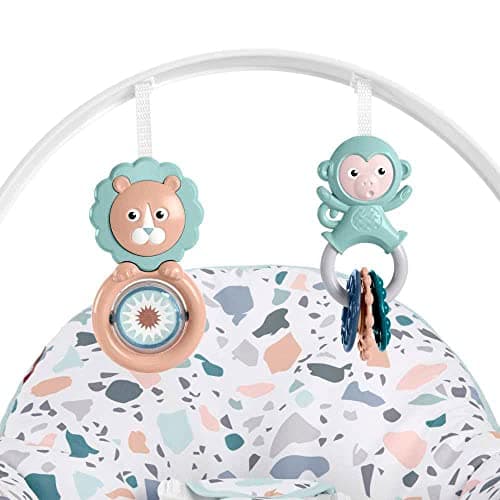 Fisher-Price Infant-To-Toddler Rocker - Image 5