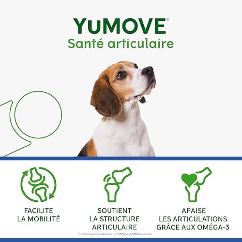 YuMOVE Osteoarthritis Dog - Joint Supplement for Senior Dogs - 120 High Concentration Tablets - With Green Mussels, Glucosamine and Chondroitin for Joints and Mobility - Image 6