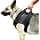 Julius-K9 Walking Support Harness for Dogs with Disabilities, Shoulder Strap, Size: L, Chest: 57-87 cm - Image 2