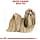 Royal Canin Canine Breed Nutrition Shih Tzu Adult 24 Dry Food 7.5 kg - Image 4