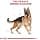 Pasteur Adult Royal Royal Canin German 24 11 kg 11000 g - Image 4