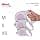 Flexi Comfort S Strap 5 m Pink Retractable Lead for Dogs up to 15 kg - Image 7