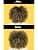 Matrix A Curl Can Dream Shampoo for Curly Hair 1000ml - Image 5