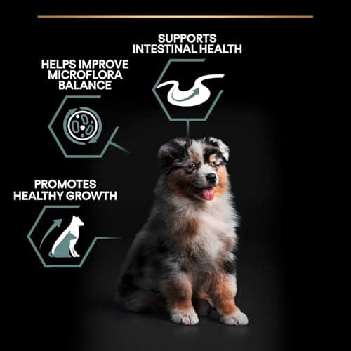 PURINA PRO PLAN | Sensitive Digestion | Complete Dry Food for Medium Puppies | Promotes a Healthy Digestive System | Rich in Lamb | Dry Food | 12 kg Bag - Image 7