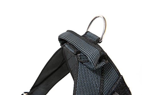 Julius-K9, IDC Color & Gray Strap Harness, Size: 0, Black-Grey - Image 5