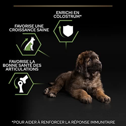PURINA PRO PLAN | Healthy Start | Large Puppy Food | Heavy Duty Morphotype | Strengthens Puppy's Natural Defences | Rich in Chicken | 12 kg Bag - Image 5