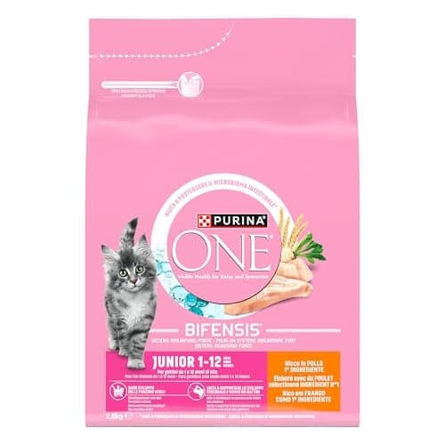 PURINA ONE | BIFENSIS Junior | Kitten up to 12 Months and Gestation Cats | Dry Food | Aid for the healthy development of the vital functions of the cat | Chicken | Bag | 2.8 kg - Image 2
