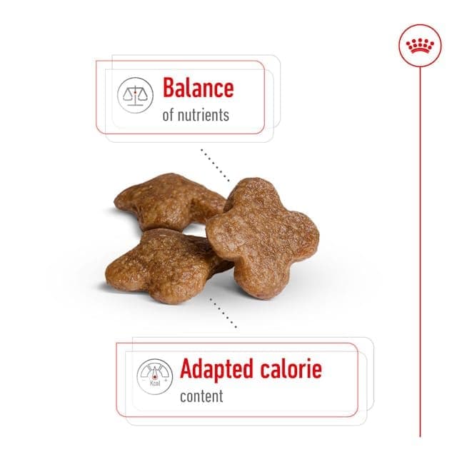 Royal Canin Mini Adult 8+ | 2 kg | Complete Food for Small Dogs (up to 10 kg) in the second half of their life | Ages 8+ | Can help support vitality - Image 4