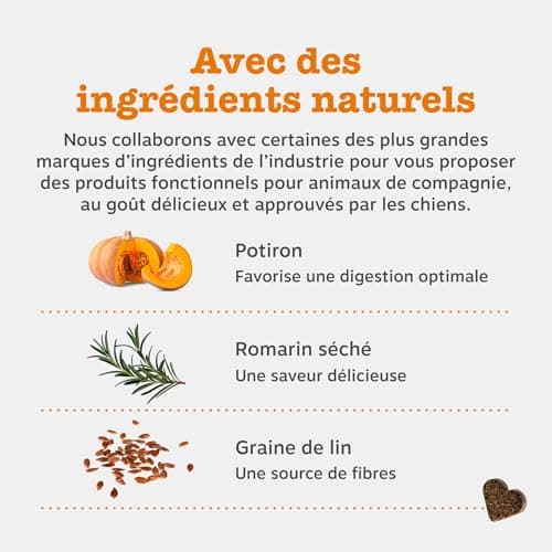 Zesty Paws Probiotic - Complément pour Chien sous Forme de friandise - Probiotique Chien - Système Immunitaire - Combinaison inédite prébiotiques, probiotiques et postbiotiques - 90 Unités - Image 7
