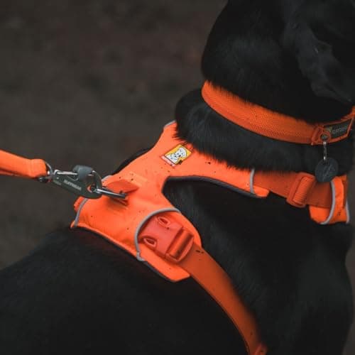 RUFFWEAR Front Range Adjustable Comfortable Padded Dog Harness with 2 Leash Attachments, Reinforced Attachment and Solid Metal V-Ring, Blaze Orange, S - Image 7