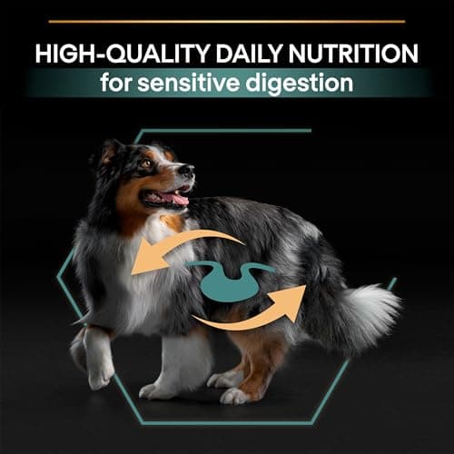 PURINA PRO PLAN | Sensitive Digestion | Croquettes complètes pour chien adulte de moyenne taille | Favorise un système digestif sain | Riche en Agneau | Croquettes | Sac de 14kg - Image 9