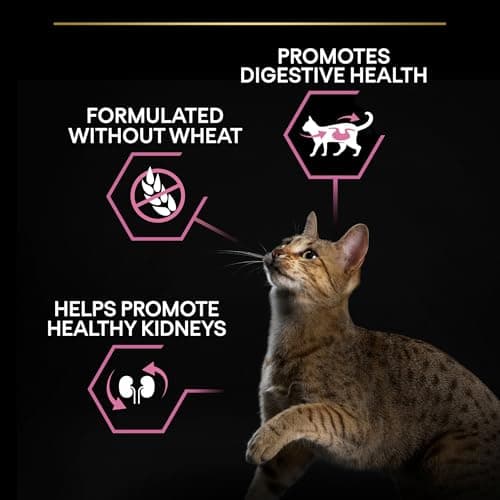 Purina PRO PLAN | Adult DELICATE DIGESTION | Complete Food for Adult Cats | Promotes a Healthy Digestive System | Dry Food | Turkey | Bag | 3 kg - Image 5