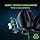 Razer BlackShark V2 X Gaming Headphones: 7.1 Surround Sound - 50mm Drivers - Memory Foam Cushion - PC, PS4, PS5, Nintendo Switch, Xbox One, Xbox Series X and S, Mobile - 3.5 Audio Jack - Image 3