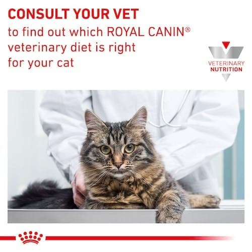 Royal Canin Veterinary Sensitivity Control | Pack of 4 | 4 x 12 x 85 g | Complete Dietary Food for Adult Cats | to Reduce Symptoms of Nutrient Intolerance - Image 5