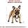 Royal Canin French Bulldog Adult 9 kg Adult Pork - Image 5