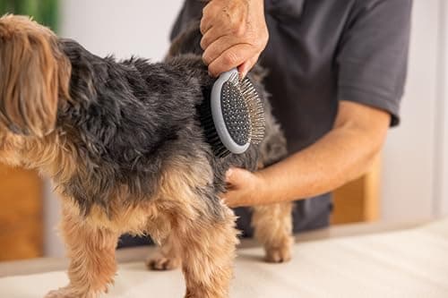 Wahl Two Sided Coat Care Brush - Image 4