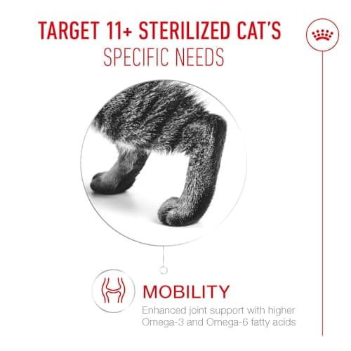 ROYAL CANIN AGEING 11+ | 2kg | Dry Food for Senior Cats Over 11 Years | Formula with HealthyAge7 Complex | Contains Easy Chewable Kibble - Image 3