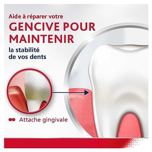 PARODONTAX - Complete Protection Toothpaste Intense Freshness - Offers 8 Specific Benefits for Healthy Gums & Strong Teeth - Helps Keep Breath Fresh - 4 x 75 ml - Image 6
