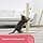 Kerbl Pet Opal Maxi Beige Cat Tree, 78 cm - Image 4