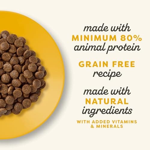 Applaws Grain Free Complete Dry Chicken Food for Senior Cats - Resealable Bag of 400g - Image 4
