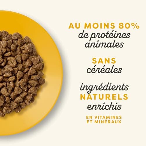 Applaws Natural Comeplete Chicken dry kitten food kibble - 400g resealable bag - Image 5