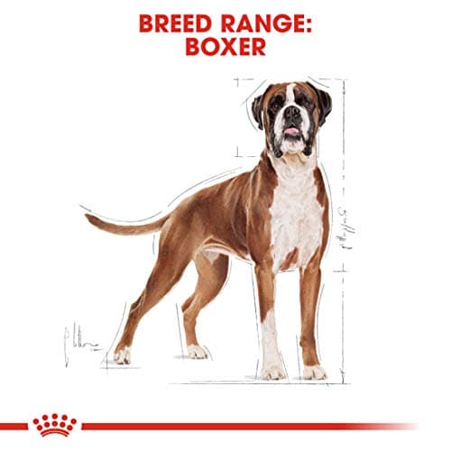 Royal Canin Breed Nutrition Boxer 26 Dry Food 12 kg - Image 5