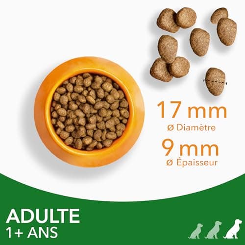 IAMS Chicken Food for Senior Dogs 3 kg - Image 5