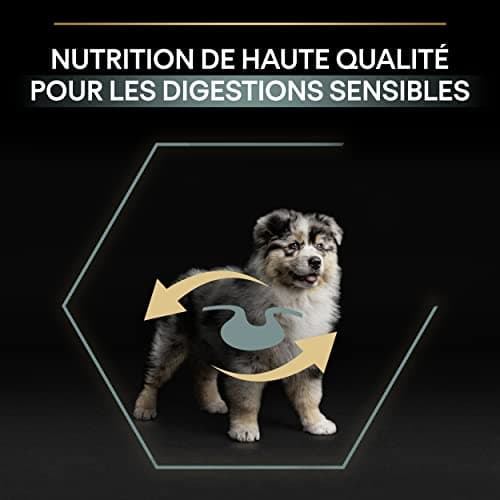 PURINA PRO PLAN | Sensitive Digestion | Complete Dry Food for Medium Puppies | Promotes a Healthy Digestive System | Rich in Lamb | Dry Food | 3 kg Bag - Image 7