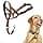 Halti Halter – To Stop Pulling On His Leash, Fully Padded On The Snout, Anti-Pull Collars for Medium Dogs (Size 3, Desert Sand) - Image 2