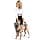 PetSafe CareLift Back Lifting Harness - For Infirm or Elderly Dogs - Lift with Handle and Shoulder Strap - Breathable and Comfortable Material - Easy Adjustment - Large Dog - Image 4