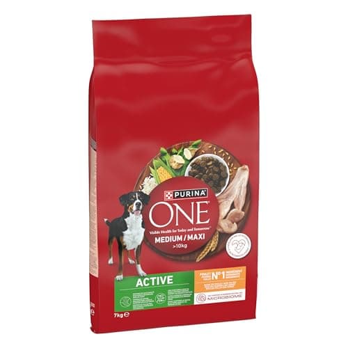 PURINA ONE | Active | Medium and Large Adult Dog > 10kg | High Protein Dry Food | Helps Maintain Strong Muscles and Sufficient Energy | Chicken | Bag | 7kg - Image 3