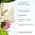 Phyto Paris - Phyto 7 Elixir Universal Day Cream 50 ml - Daily Nourishing Dry Hair Care - Anti-Frizz Protection 48H - 7 Botanical Extracts - No Rinse Hair Cream - Image 4