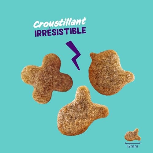 Edgard & Cooper Cat Treats, Salmon Crunchies (1x50g), Grain Free, Rich in Fresh Meat, with Catnip, Natural Ingredients, No Sugar Added - Image 5