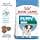 Royal Canin - Royal Canin Mini Puppy Capacity: 2 kg - Image 3