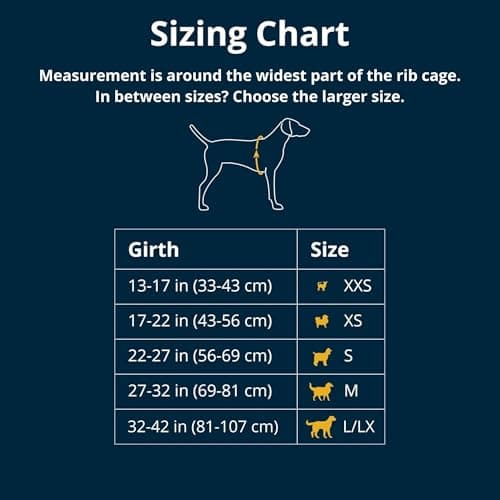 RUFFWEAR Front Range Adjustable Comfortable Padded Dog Harness with 2 Leash Attachments, Reinforced Attachment and Solid Metal V-Ring, Blaze Orange, S - Image 4