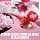 Maybelline New York – Multi-Purpose Foam Blush – Cheeks & Lips – Blurred Matte Finish – Light Texture – Lasts up to 14 Hours – Transfer Resistant – Cloudtopia – Shade : 01 Twilight Berry - Image 7