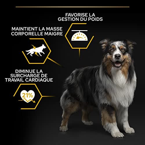 PURINA PRO PLAN | Light/Sterilized | Adult Dog | All Sizes | Protein Dry Food | Chicken | Promotes Weight Management | Bag | 7 kg - Image 5