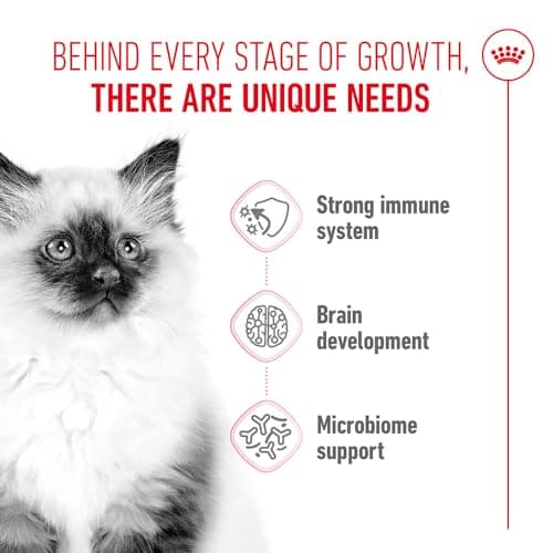 Royal Canin - Kitten 400 GR - Image 3