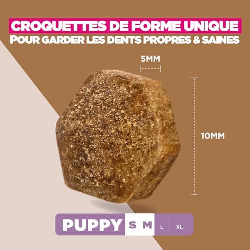 Eukanuba Premium Grain Free Dry Food Puppies Small and Medium Breeds - Rich in Ocean Fish - Hypoallergenic - DHA, Calcium - 12kg - Image 6