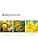 Elizabeth Arden - Sunflowers Sunlight Kiss - Women's Eau de Toilette Spray - Floral Scent - Warm and Effervescent Fragrance - Floral and Radiant Composition - 100 ml - Image 5