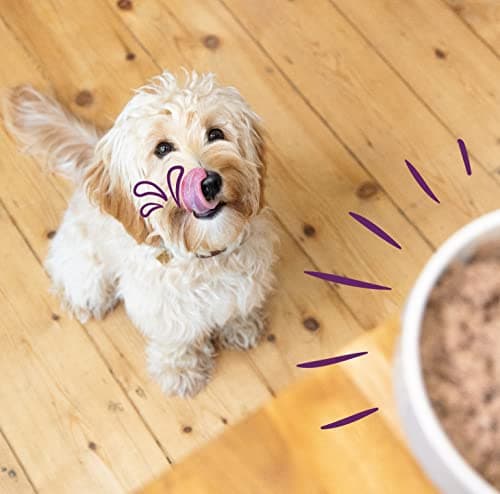 Edgard & Cooper Natural Wet Food for Adult Dogs 6 x 100g 2 x Chicken/Turkey, 2 x Lamb/Beef and 2 x Deer/Duck Fresh, Healthy Food, Tasty and Balanced, Protein - Image 6