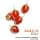 Wella Professionals - Invigo Nutri-Enrich Nourishing Conditioner for Dry or Weakened Hair - 200ml - Image 6