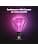 Ampoule intelligente Philips Hue Lightguide Triangle, lumière blanche et couleur, compatible Bluetooth, contrôle vocal avec Alexa, Apple Home et Google Assistant - Image 4