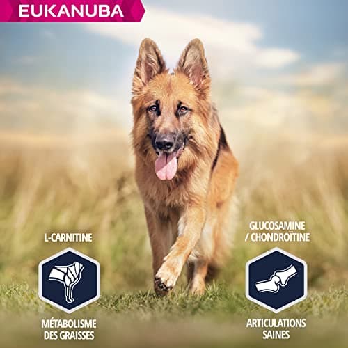 Eukanuba Dog Dry Food German Shepherd Chicken 12 kg - Image 4