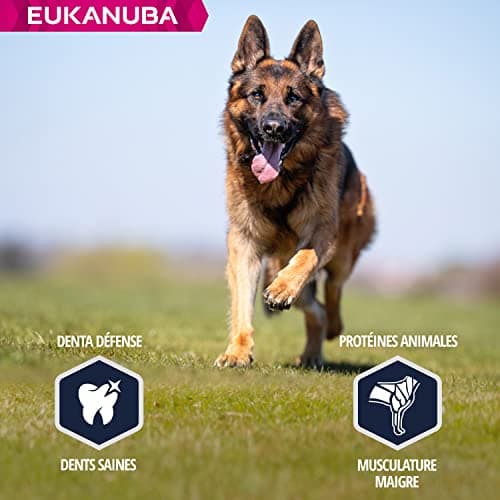 Eukanuba Dog Dry Food German Shepherd Chicken 12 kg - Image 6