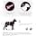 FRONTLINE Tri-Act Dog Fleas, Ticks, Mosquitoes, Phlebotomes & Stinging Flies – for Large Dogs 20 to 40 kg – Made in France – 6 Spot-On Pipettes - Image 3