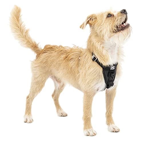 Kurgo Tru-Fit Dog Harness, Shock Tested Front D-Ring for No-Pull Training, Car Seat Belt Included, Black, XS - Image 3