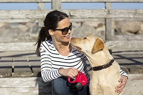 flexi New Classic Dog Strap 5 m Size S Black - Image 4