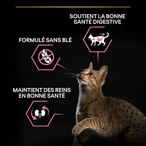Purina PRO PLAN | Adult DELICATE DIGESTION | Complete Food for Sterilized Adult Cats | Promotes a Healthy Digestive System | Dry Food | Turkey | Bag | Pack of 6 x 1.5 kg - Image 8