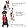 Kurgo Tru-Fit Dog Harness, Shock Tested Front D-Ring for No-Pull Training, Car Seat Belt Included, Black, L - Image 7